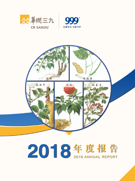 尊龙时凯：2018年年度报告