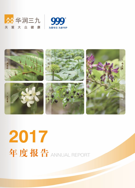尊龙时凯：2017年年度报告
